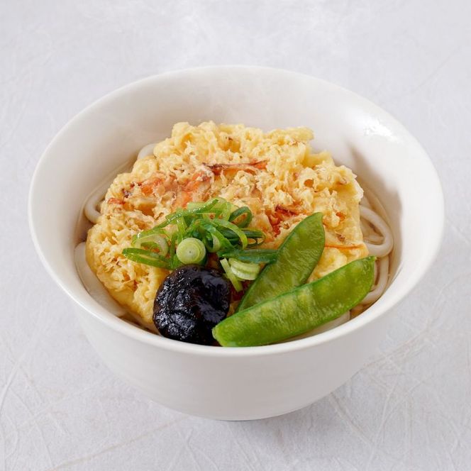 さぬき小豆島　手延冷凍調理うどん　4食セット（カレーえび天（焼きもち入）牛肉かきあげ）