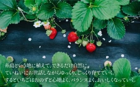 完熟あまおうジャム 140g×3本 糸島市 / slowberry strawberry [APJ003] イチゴ 苺 あまおう イチゴジャム