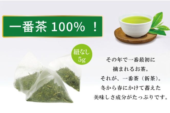 お茶 ティーバッグ 特撰 みやざき煎茶 5袋 セット [谷岩茶舗 宮崎県 日向市 452061643] ティーパック 茶 茶葉 緑茶 新茶 お茶の葉