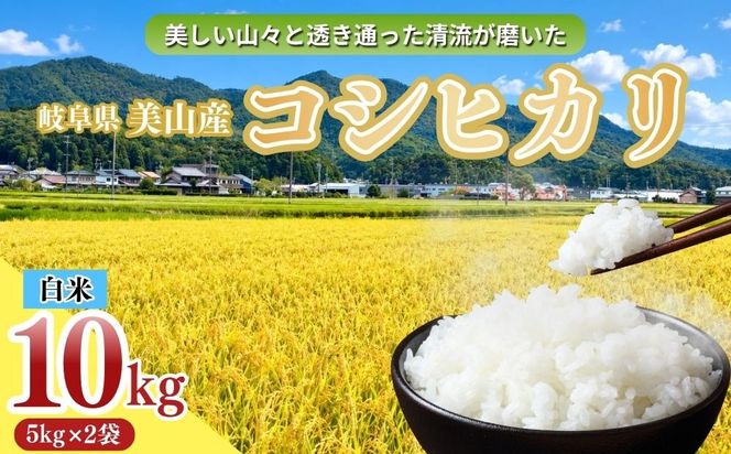 岐阜県美山産コシヒカリ 令和8年産 新米 10kg| 令和8年 米 精米 白米 お米 コシヒカリ こしひかり ツヤ 粘り 甘み ヤマガタ農産 ※2026年11月～発送
