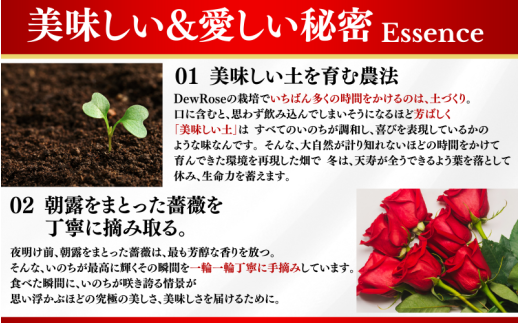 DewRose ＆SUGAR 20g / 薔薇 香り 砂糖 スイーツ 調味料 健康 天然素材 天然成分 ローズシュガー【agr103】