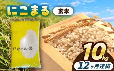 【12回定期便】にこまる　玄米　10kg　お米　ご飯　愛西市／株式会社戸倉トラクター[AECS072]