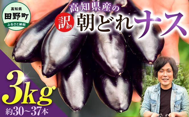 訳あり高知県産の朝どれナス 3kg 茄子 なす 新鮮 朝採れ 野菜 夏野菜 柔らかい 甘い おいしい 生鮮食品 食品 食べ物 浅漬け 煮浸し 国産 お取り寄せ