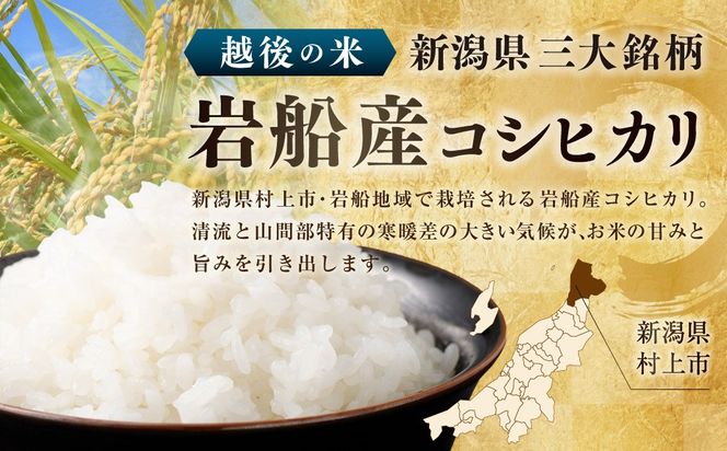 【令和7年産米】新潟県村上市岩船産 コシヒカリ10kg 1029010