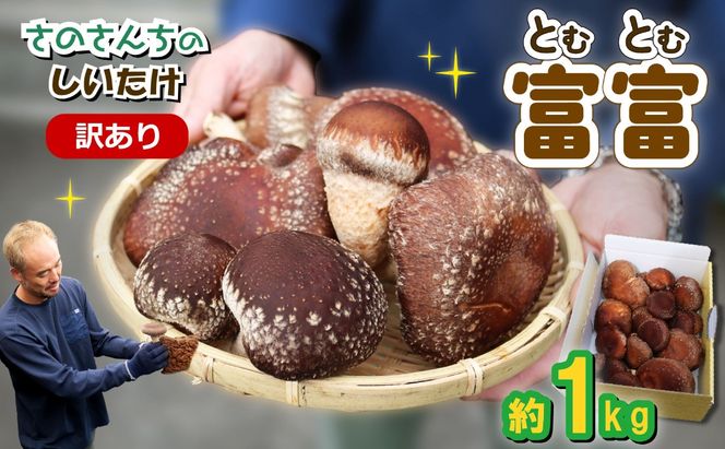 訳あり 生 しいたけ 富富（とむとむ）約1kg さのさんち 椎茸 シイタケ 肉厚 ジューシー きのこ 静岡県 藤枝市 人気 野菜 旬 安心 安全 JGAP認証農場