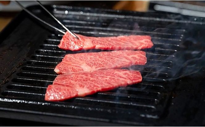 奈義和牛 焼肉カット 600g 肉 お肉 なぎビーフ 牛肉 牛 和牛 焼肉 国産 岡山 瀬戸内市 [№5735-3272]