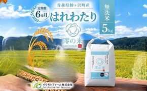 【6回定期便】米 5kg 白米 はれわたり イワモトファーム 青森県産 令和8年産 6ヶ月 定期便 新米 ごはん ご飯 ブランド米 特選米 精米 直送 農家直送 お取り寄せ お米 こめ コメ 白飯 国産 お弁当 もっちり 送料無料