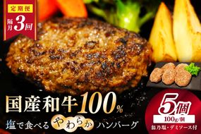 <定期便・隔月3回>塩で食べるやわらかハンバーグ（デミグラスソース付）　NH00041