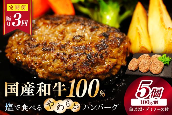 <定期便・隔月3回>塩で食べるやわらかハンバーグ（デミグラスソース付）　NH00041
