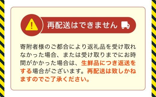 【先行予約】ほたるいか ボイル＆刺身セット【27年3月中旬以降順次発送】カネツル砂子商店【冷蔵 ホタルイカ 旬 朝どれ おつまみ 期間限定 海鮮 ボイル 刺身 ほたるいか 蛍烏賊 ボイルほたるいか 富山県 富山 富山県産 魚介類 いか イカ 】