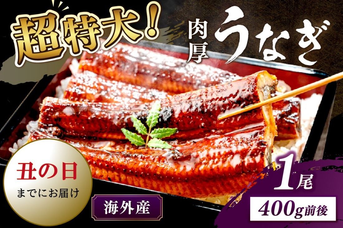 [7月30日〜8月1日配送]超特大!ふっくら肉厚!うなぎ蒲焼 1尾 400g前後 YK00402_02