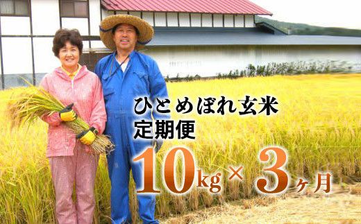 【3ヶ月定期便】減農薬栽培 ひとめぼれ 玄米 10kg（5kgx2袋） 【1111】