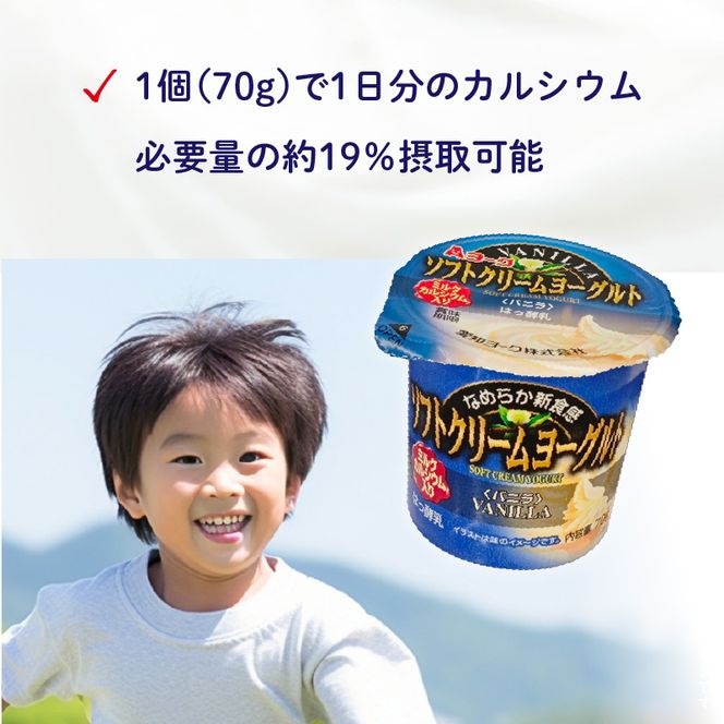 愛知ヨーク　ソフトクリームヨーグルト　20個入［108A07］ソフトクリームヨーグルト 20個入 愛知ヨーク セット ミルク 乳製品 乳酸菌 おやつ ヨーグルト 健康 食品 加工食品 愛知県