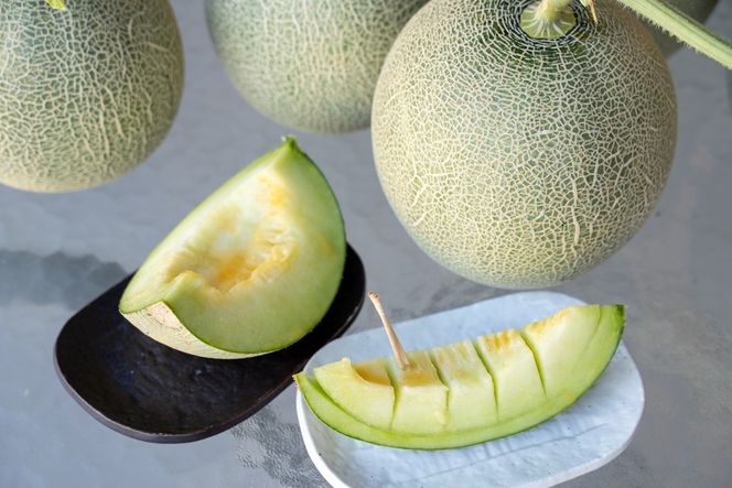 �y���s�{���O��s�z�y��s�\��z��،��̌��상���� 1�ʓ���i2026�N7�����{�`�����j�@NO00016