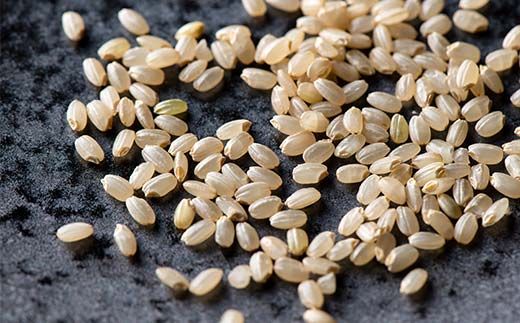 FYN6-281 令和7年度 山形県産 はえぬき 玄米 5kg お米 米 ごはん ご飯 げんまい 銘柄米 ブランド米 2025年 自宅 家庭 贈り物 プレゼント 贈答 ギフト 食品 山形県 西川町 月山