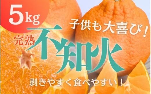 不知火 たにぐち農園の完熟不知火 5kg[2026年2月中旬から3月下旬までに順次発送] / 不知火 みかん 蜜柑 デコポン[mtn011B]