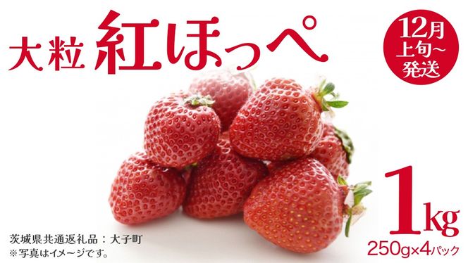 y錧vszgق 嗱 250gi8`12j×4pbNy2025N12{Jnz(錧ʕԗiFq)   ʕ t[c ʎ