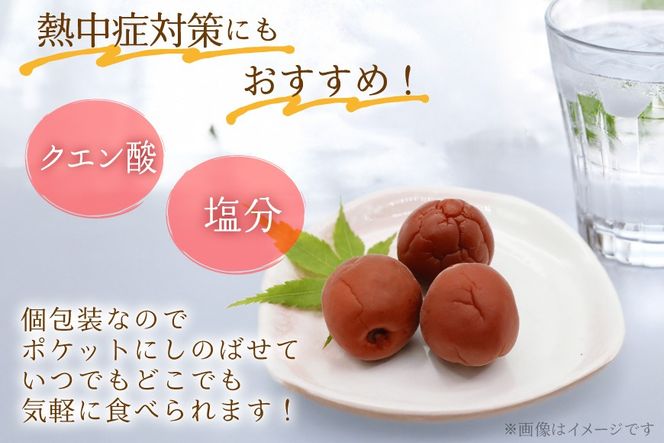 梅干し 梅恋しポット 30個入 [山梨農産食品 山梨県 韮崎市 20743520] 梅干 うめぼし 個包装 梅 漬物 つけもの おやつ おつまみ 熱中症予防