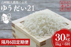 AU021　【全6回定期便】＜隔月＞山﨑観光農園のゆうだい21　白米5kg