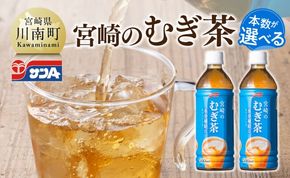 ※本数が選べる※サンA宮崎のむぎ茶　500ml PET 【 飲料 お茶 麦茶 宮崎県産 ペットボトル】 [C03021][C03022]