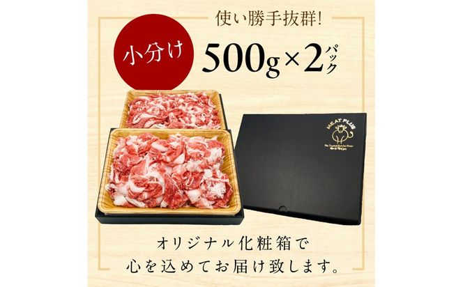 【A9-018】訳アリ！【A4-A5ランク】博多和牛切り落とし 1kg