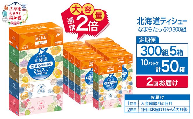 【2回お届け 計100箱】エリエール 北海道 ティシュー なまらたっぷり 300組5箱 10パック 大容量 まとめ買い 防災 常備品 備蓄品 消耗品 日用品 生活必需品 送料無料 赤平市 ストック 