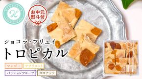 【お中元熨斗付】ショコラフリュイ トロピカル チョコレート チョコ スイーツ デザート 高級 ギフト 贈り物 お礼 プレゼント 手土産 お菓子 [DJ29-NT]