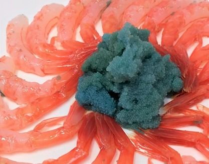 【2026年9月～10月発送】獲れたて鮮度抜群！姫丸の子持ち甘エビ40匹丸ごと昆布〆