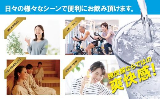 【定期便６か月コース】富士山の強炭酸水レモン500mlラベルレス×24本入×6回