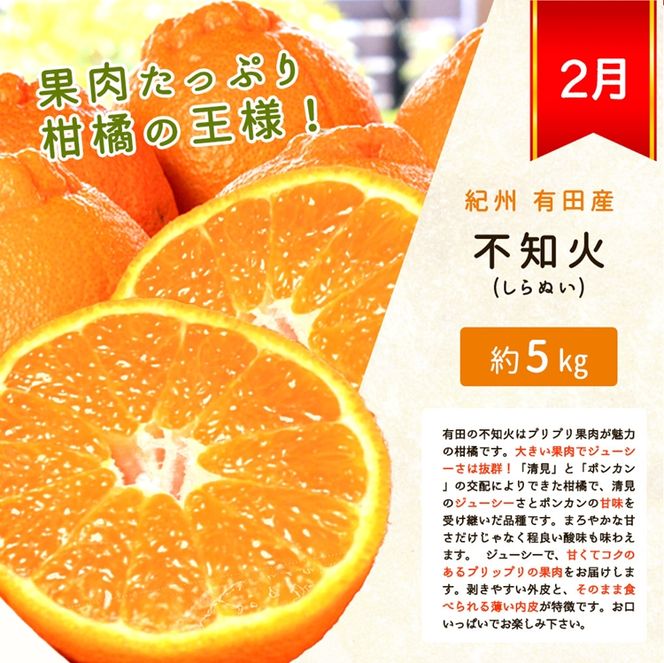 〈定期便〉【2・3・4月 全3回】紀州和歌山産旬の柑橘セット(不知火・レモン・清見)