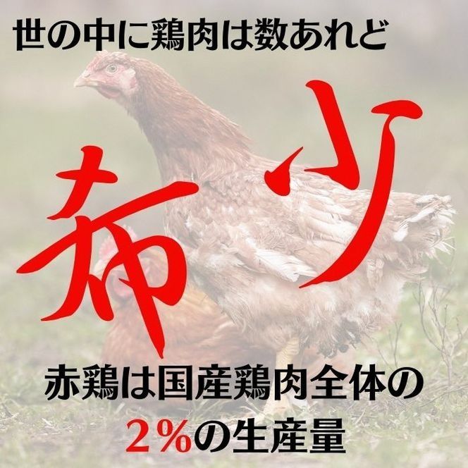 丹波赤どり もも肉＆むね肉 4kg セット（各2kg）京都亀岡丹波山本 《鶏 鶏肉 モモ モモ肉 ムネ ムネ肉 業務用 訳あり》