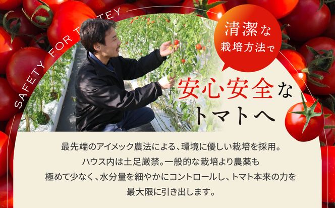 出雲の國からの贈り物～トマトを超えた超トマト１kg 322032_AT001