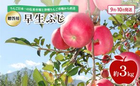 【 9月・10月発送 】 贈答用 早生ふじ 約 3kg 【 青森県鶴田町産 りんご 青森りんご 】果物類 フルーツ 林檎 リンゴ 鶴田町 青森県 おやつ デザート