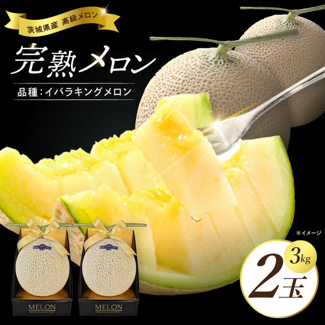 完熟 メロン イバラキング 2玉 │ 3kg フルーツ 産地直送 高級 贈答用 （CK002）