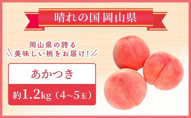 【 2027年 先行予約】 桃 岡山県産 あかつき 約1.2kg(4～5玉) 《2027年7月上旬-中旬頃出荷》 白桃 岡山 はくとう スイーツ フルーツ 果物 先行予約 数量限定 期間限定 岡山 里庄町 モモ もも 桃
