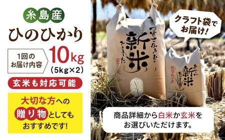 【全6回定期便】 糸島産 雷山のふもとの米 農薬不使用 10kg 糸島市 / ツバサファーム[ANI007] 