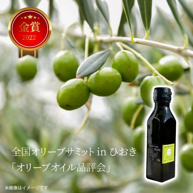 【先行予約】河野農園のエキストラバージンオリーブオイル 105g×2本 _1922R