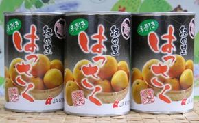  和歌山産手剥き八朔缶詰450g×8缶入り / 果物 くだもの フルーツ みかん 缶詰 【tec107-450-8A】