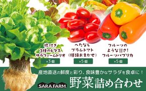 サラ詰め合わせセット 野菜13個 サラファームトリオ 3個 プラムトマト 5個 フルーツパプリカ 5個 野菜 レタス 3種のレタス トマト パプリカ 《30日以内に出荷予定(土日祝を除く)》 笠岡アグリセンター 野菜 岡山県 笠岡市---H-59---