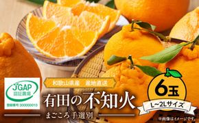 ZE6110n_有田の不知火(しらぬひ)　6玉 （L～2Lサイズ）まごころ手選別