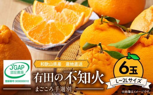 ZE6110n_有田の不知火(しらぬひ)　6玉 （L～2Lサイズ）まごころ手選別