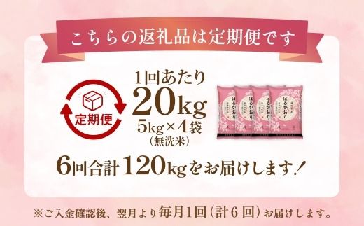 【 1ヶ月毎6回定期便 】 【 無洗米 】 はるかおり 20kg （ 5kg × 4袋 ） 計120kg お米 米 こめ コメ 白米 白飯 飯 ご飯 おにぎり 和食 国産 福岡県産 定期 定期配送