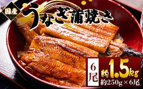 うなぎ 国産蒲焼きうなぎ ２５０ｇ ６尾 計１５００ｇ fb-0171