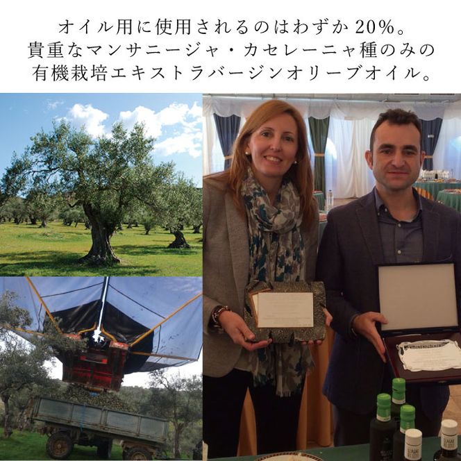 オリーブオイル 有機栽培 エキストラバージン オリーブ オイル シングル 2本 セット オーガニック 調味料 油 オリーブ油 食用油 ギフト 