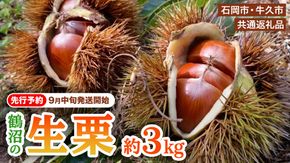 石岡 鶴沼 の 生栗 約3kg (石岡市 共通返礼品) 栗 くり クリ マロン 栗ごはん 栗ご飯 贈答 ギフト 秋の味覚 果物 フルーツ 数量限定 旬 秋 冬 正月 国産 秋 旬 旬の栗 お菓子作り 冷凍保存 先行予約