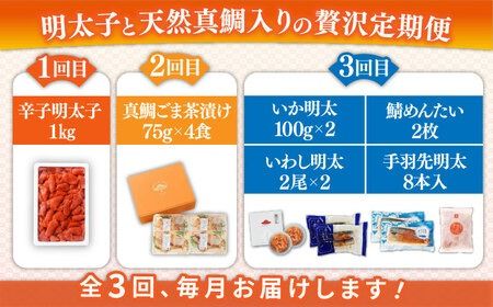 【全3回定期便】糸島明太子と天然真鯛を味わいつくす定期便 糸島市 / やますえ 鯛茶 明太