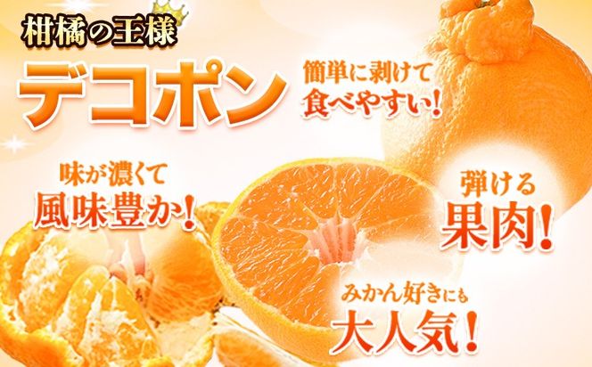 訳あり デコポン 約5kg前後(約12-24玉前後)《2026年2月上旬-4月末頃出荷》 デコポン みかん 不知火 ご家庭用 訳ありデコポン 訳アリ 熊本県産 熊本県 長洲町 糖度13度以上---ng_deko_af24_r7_15000_5kg---