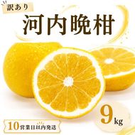 【10営業日以内発送】訳あり 河内晩柑 ばんかん 約 9kg 不揃い 大小ミックス 傷あり 柑橘 かんきつ フルーツ 果物 くだもの すぐ届く 早い 甘い さっぱり 厳選 愛媛 みかん 蜜柑 Mikan 愛南 ご当地 ブランド 野菜 サラダ ピール ゼリー お菓子 デザート マルエム直販 (なくなり次第終了) 愛媛県 愛南町