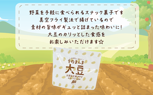 ＜大莢白乙女フライ 1個セット＞北海道 北海道産 大莢白乙女 大豆  フライ そのまんま そのまんまシリーズ