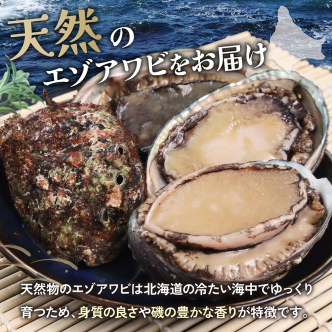 アワビ【産地直送】北海道留萌産天然冷凍エゾアワビ 2～5個 R006-008